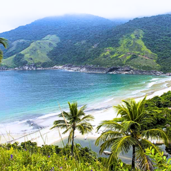 Reviews-16-qeqoximr8k1lcutw4x09kssaafbf2v3qtr6pqss5zs